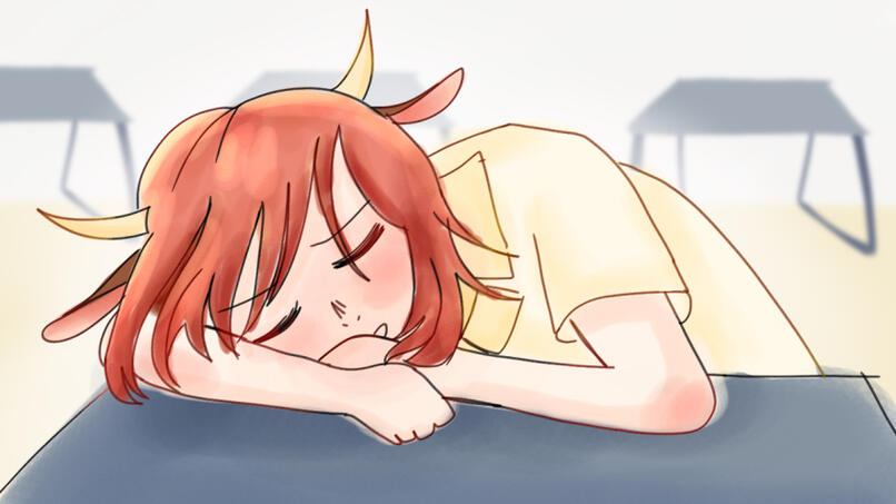 flan sleep